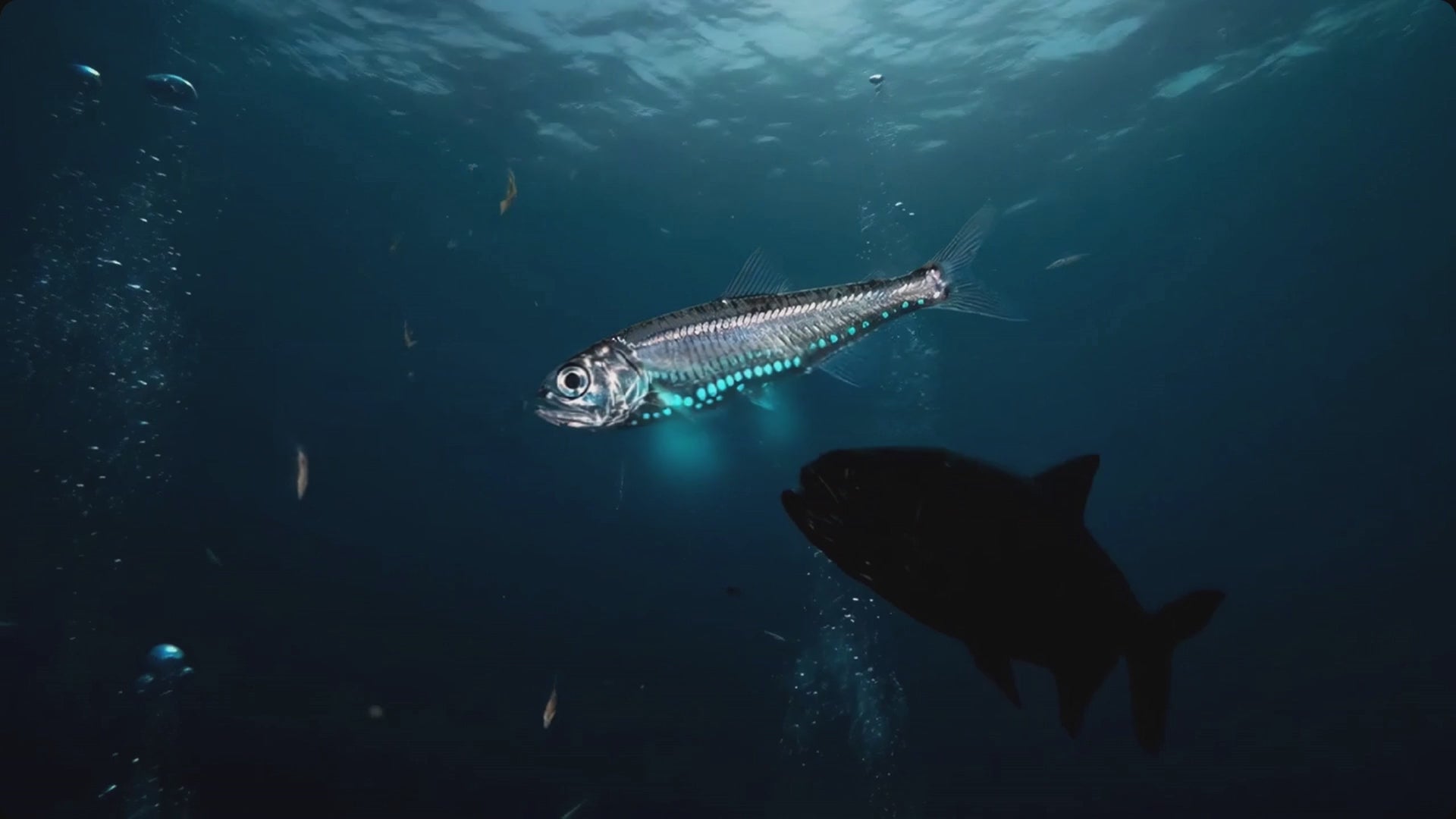 SEÑUELO DE PESCA ELÉCTRICO ROBÓTICO | Swimbait USB Recargable de 4 Segmentos 90mm / 130mm