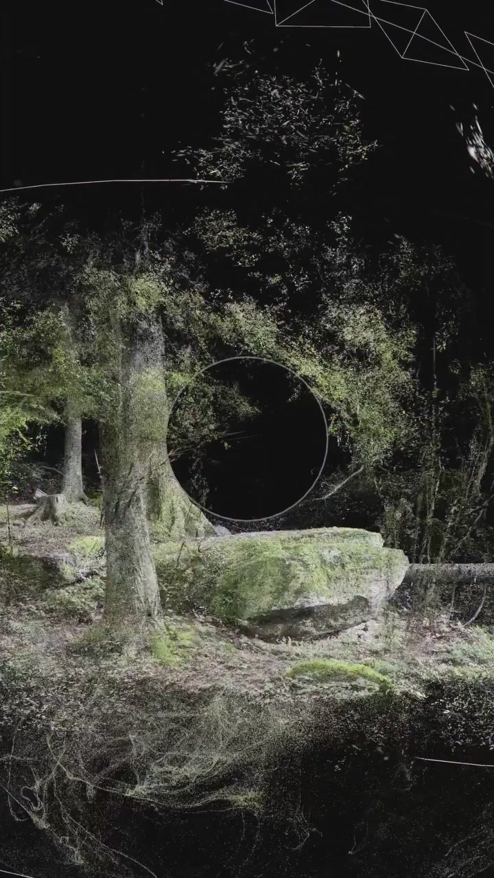 ISLA FLOTANTE DE ENSUEÑO – DECORACIÓN SIMULACIÓN PAISAJE / PAISAJISMO / MUSGO COLGANTE, PIEDRA ROCOSA Y PLANTA VERDE | TIPO A / B / C